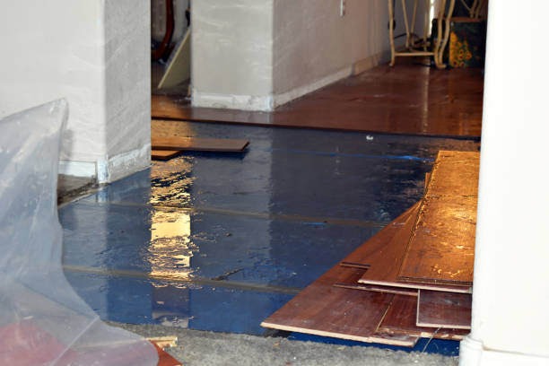 Professional Flood Damage Repair technician working in Lakeview, NY